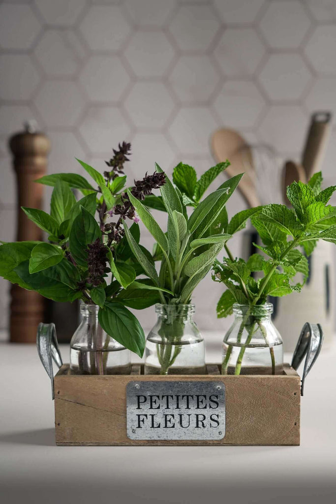 scene of herbs using Hexagon Marbled Tiles Photography Backdrop, backdrop, CM Props & Backdrops