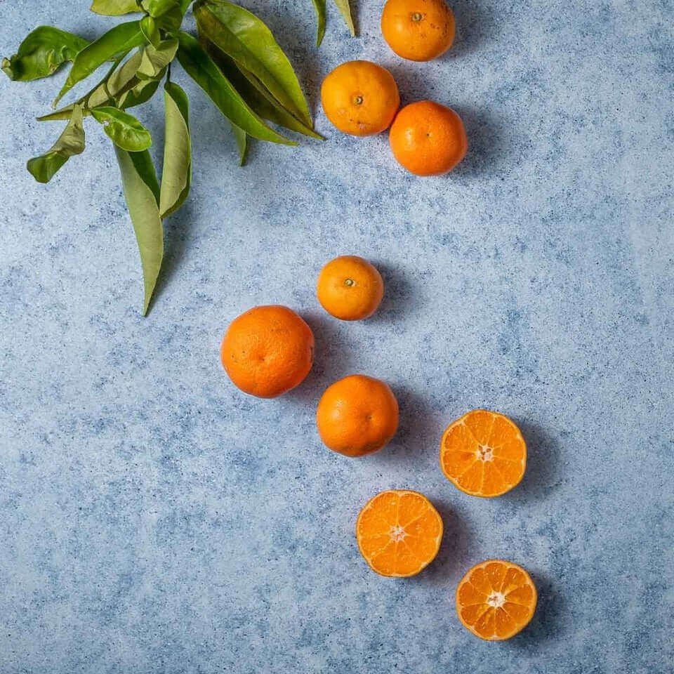 Backdrop FAQs-HOW TO USE VINYL BACKDROPS FOR PHOTOGRAPHY.-CM Props &amp; Backdrops